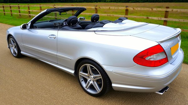 Essential tips for selecting ideal bedding for horses prone to skin sensitivities